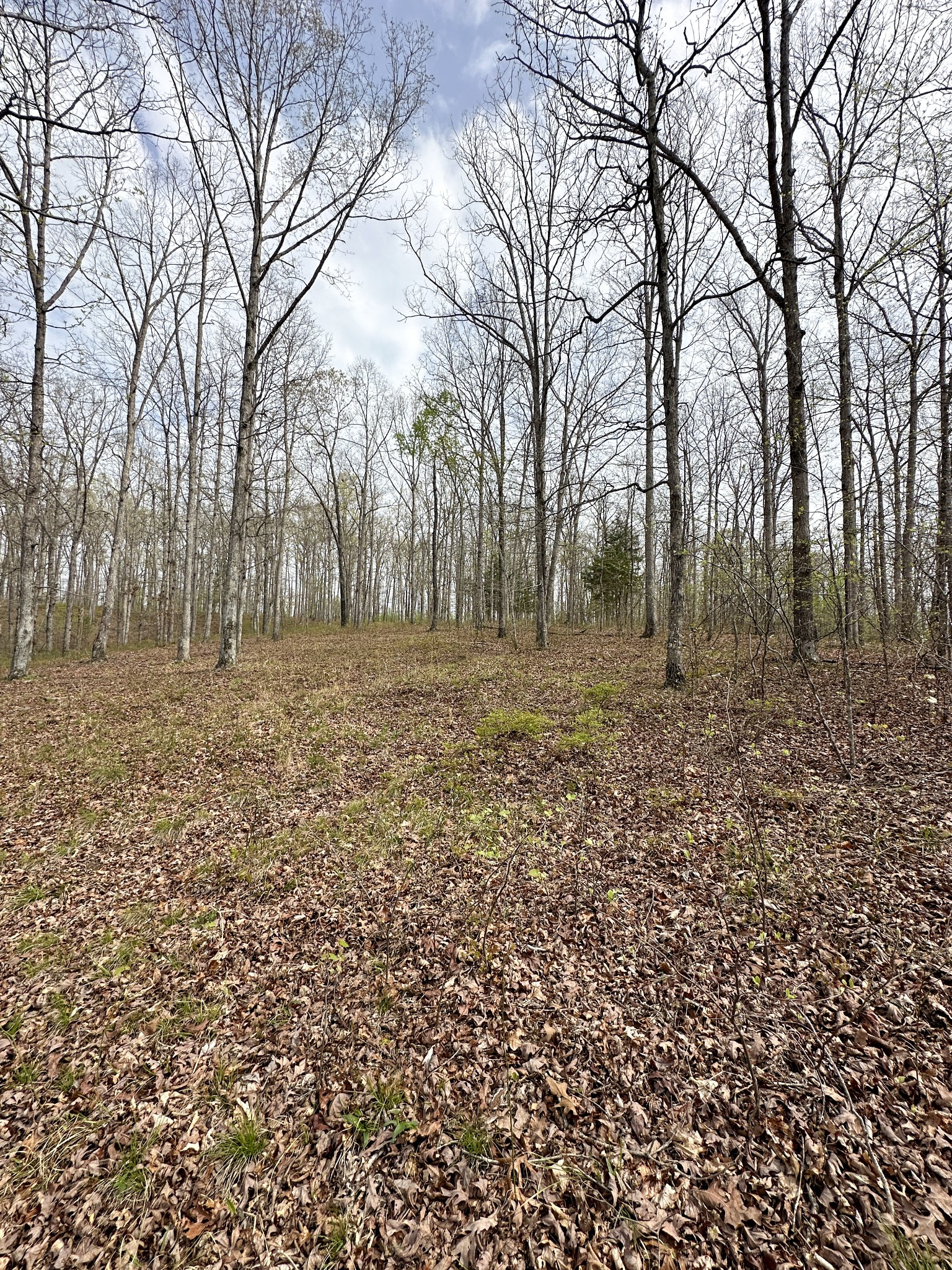 0 Ridgewood Drive Mc Ewen TN 37101