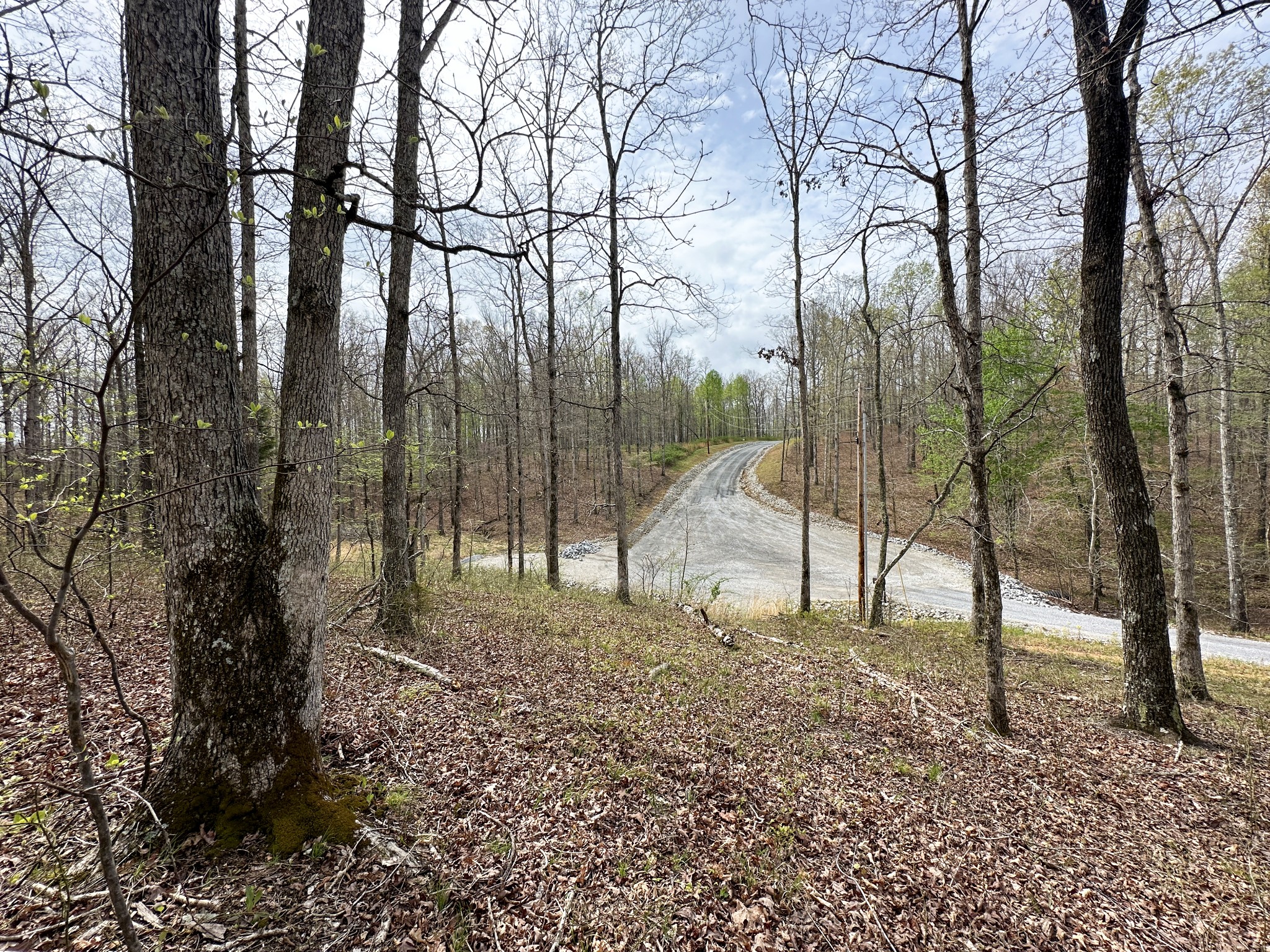 0 Ridgewood Drive Mc Ewen TN 37101