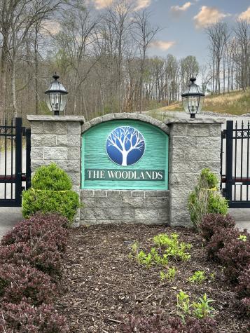 0 Ridgewood Drive Mc Ewen TN 37101