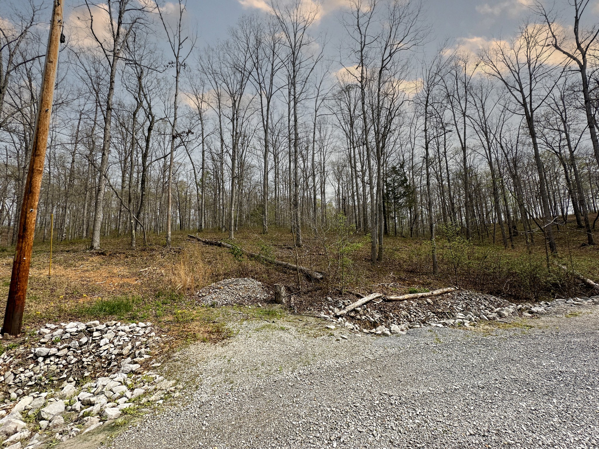 0 Ridgewood Drive Mc Ewen TN 37101