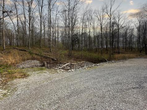 0 Ridgewood Drive Mc Ewen TN 37101