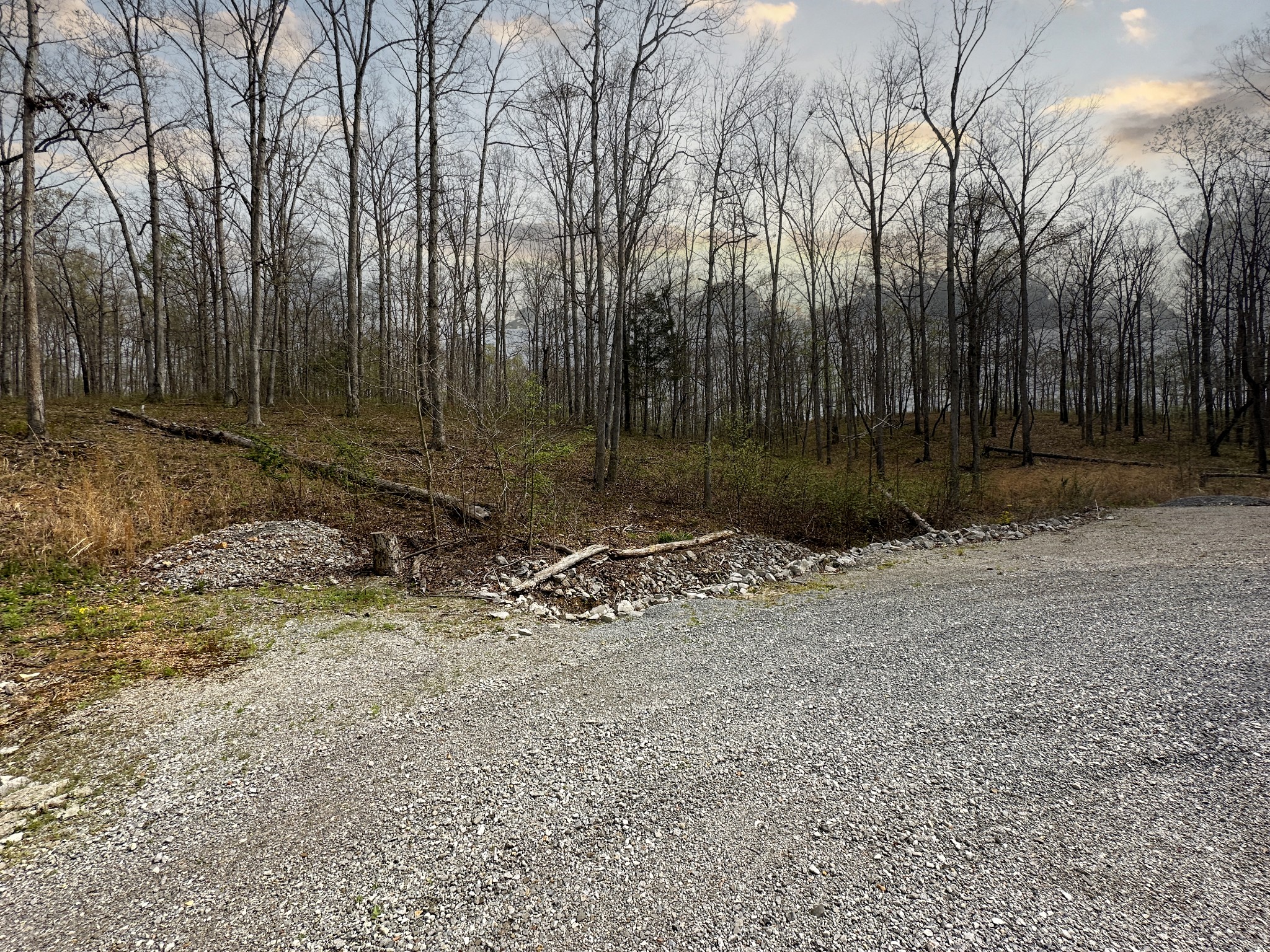 0 Ridgewood Drive Mc Ewen TN 37101