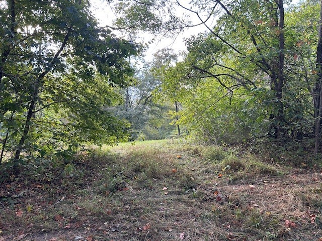 3890 Robinson Road Thompsons Station TN 37179