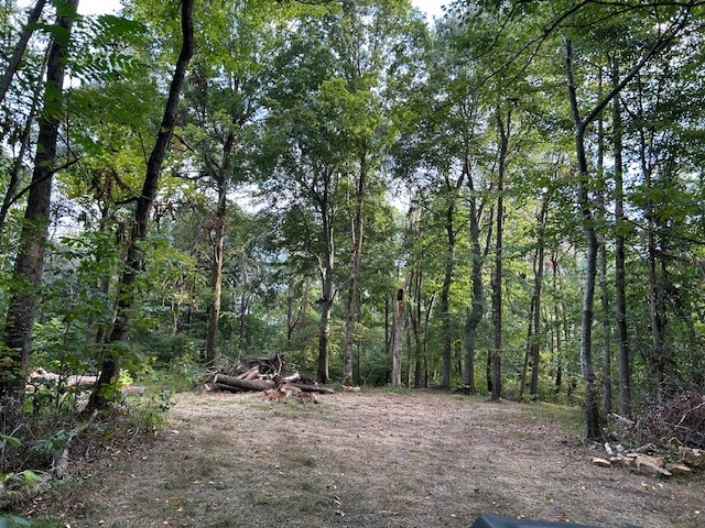 3890 Robinson Road Thompsons Station TN 37179