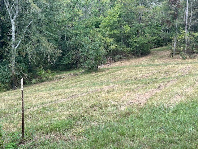 3890 Robinson Road Thompsons Station TN 37179