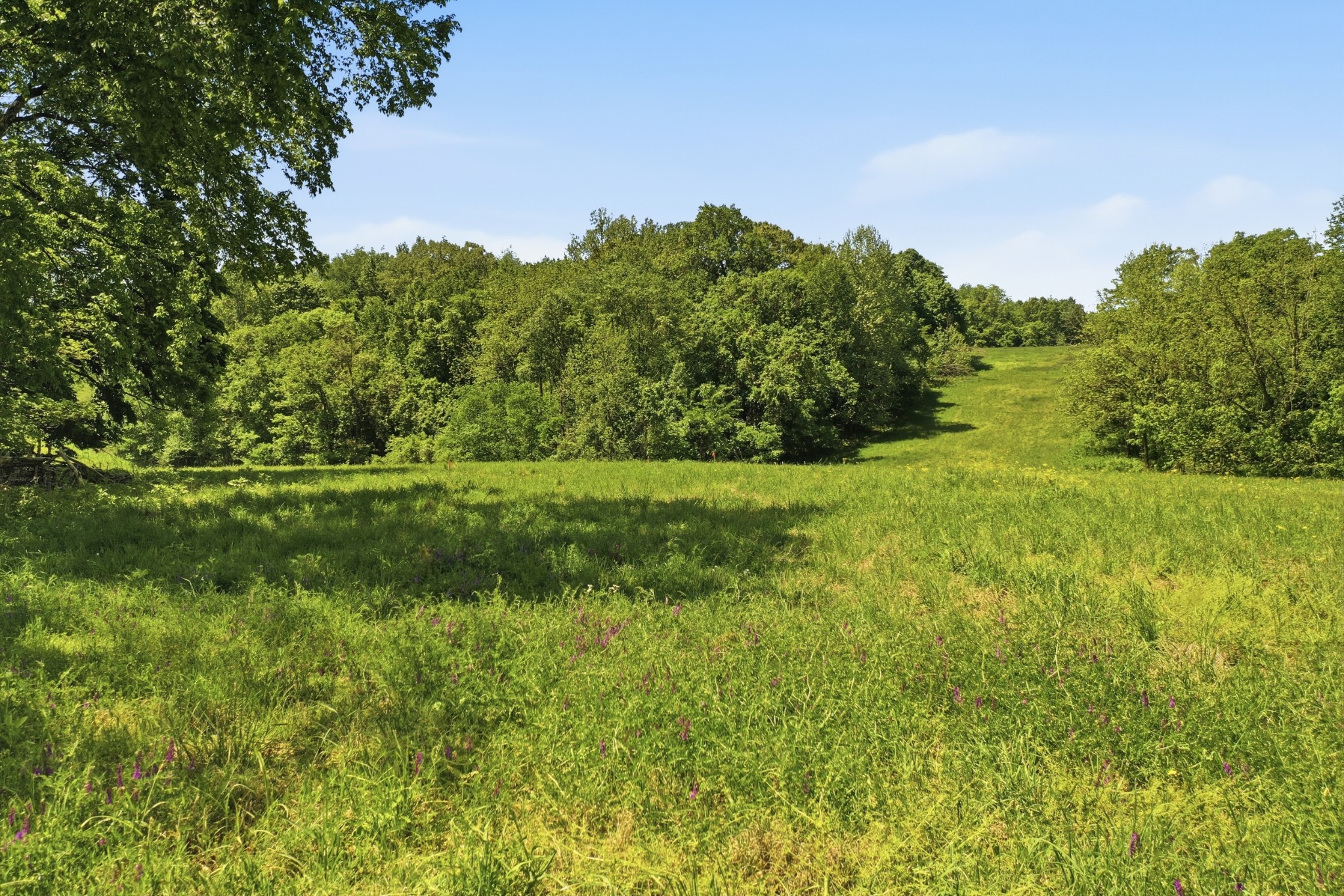 0 Gholson Road Clarksville TN 37043