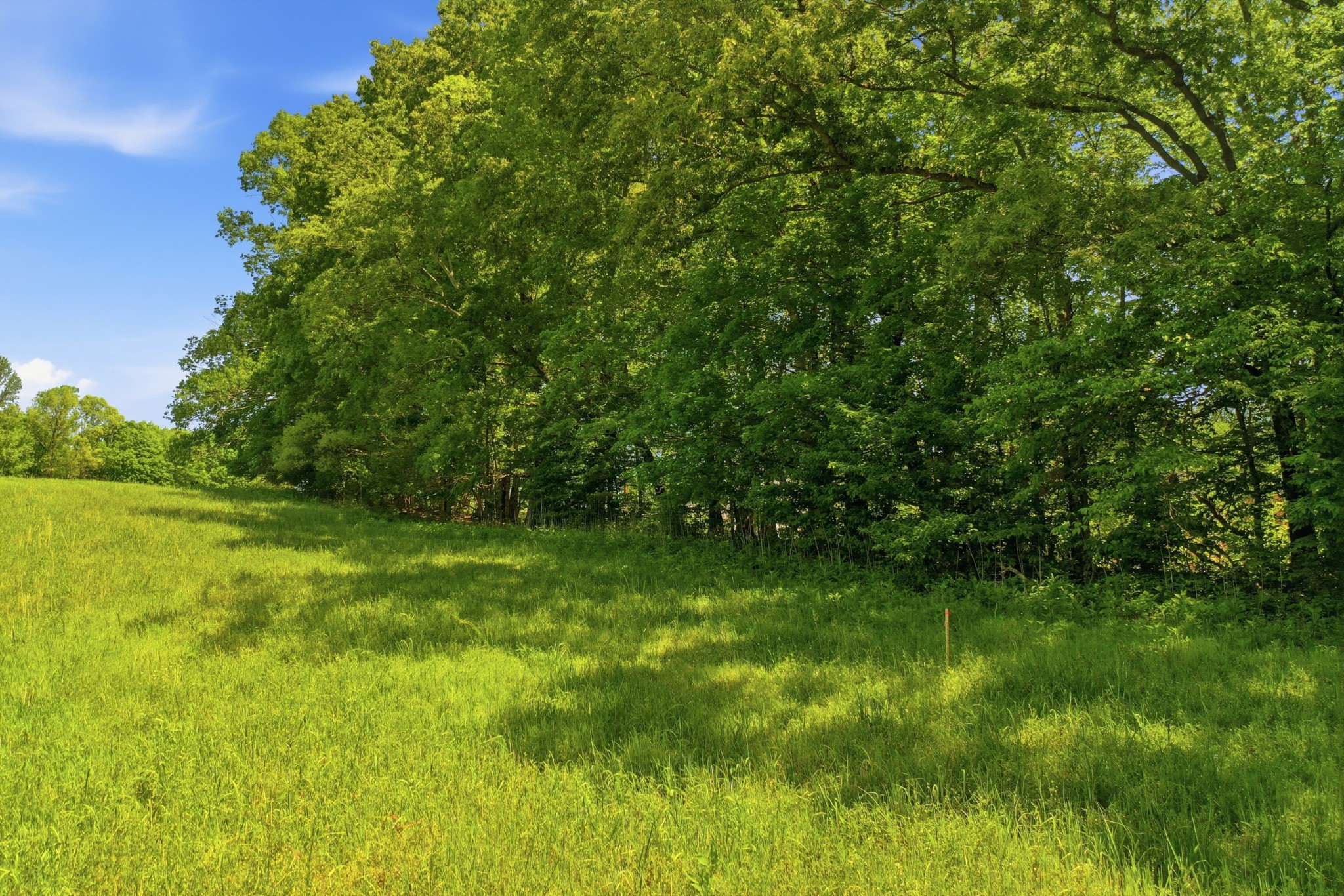 0 Gholson Road Clarksville TN 37043