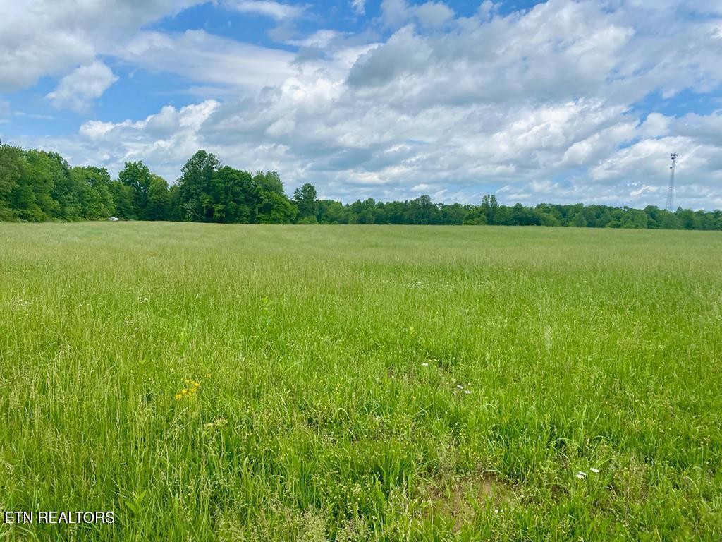 0 Old Martha Washington Road Clarkrange TN 38553