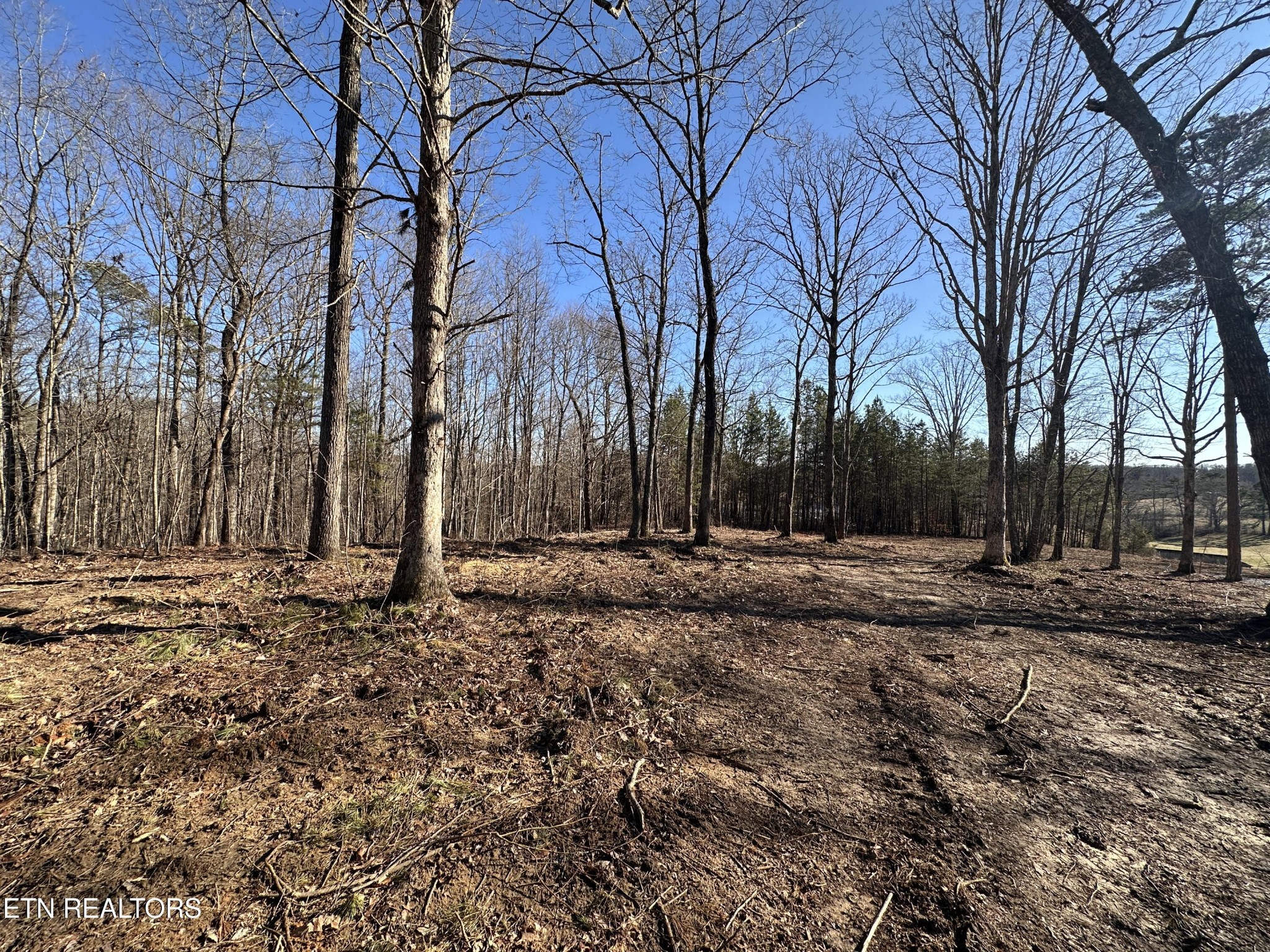 1453 Pickett Park Highway Jamestown TN 38556