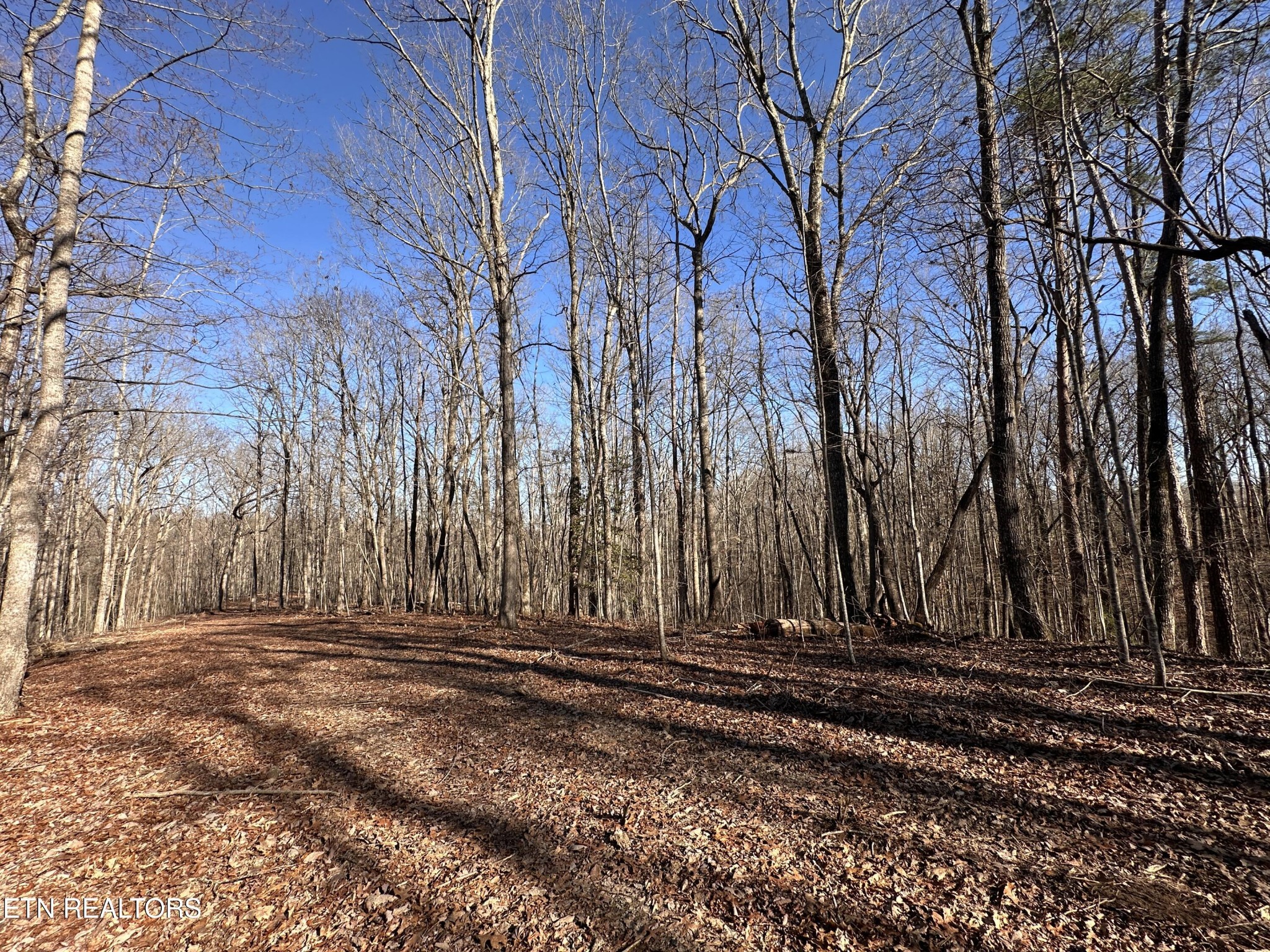 1453 Pickett Park Highway Jamestown TN 38556