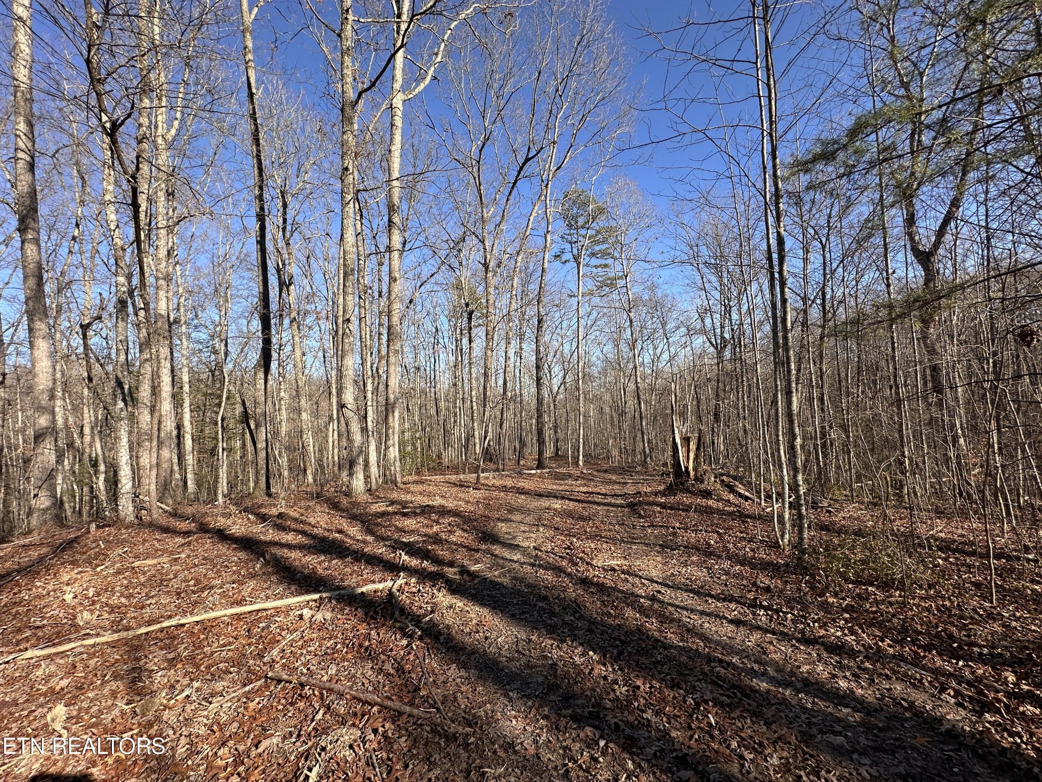 1453 Pickett Park Highway Jamestown TN 38556