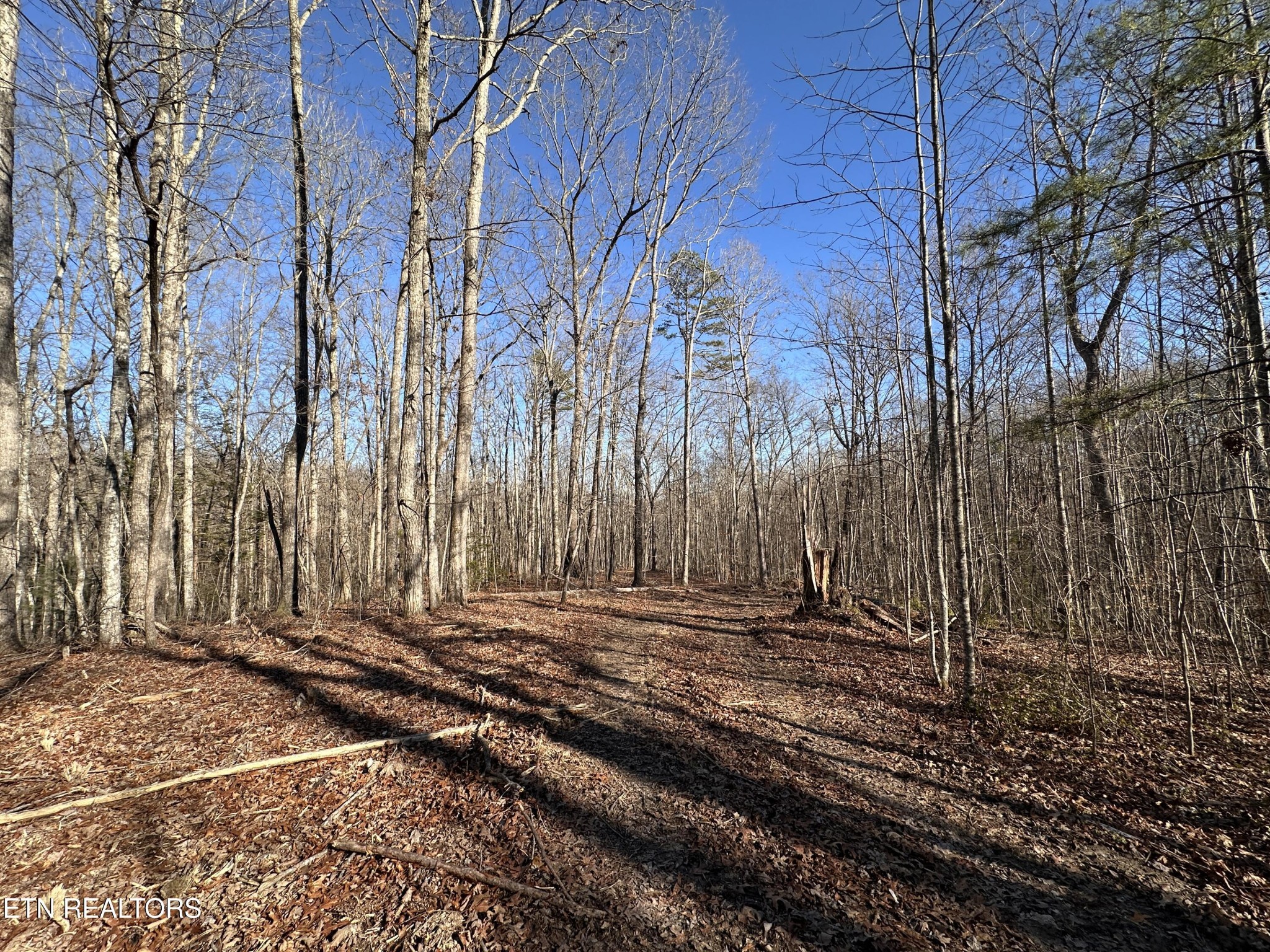 1453 Pickett Park Highway Jamestown TN 38556