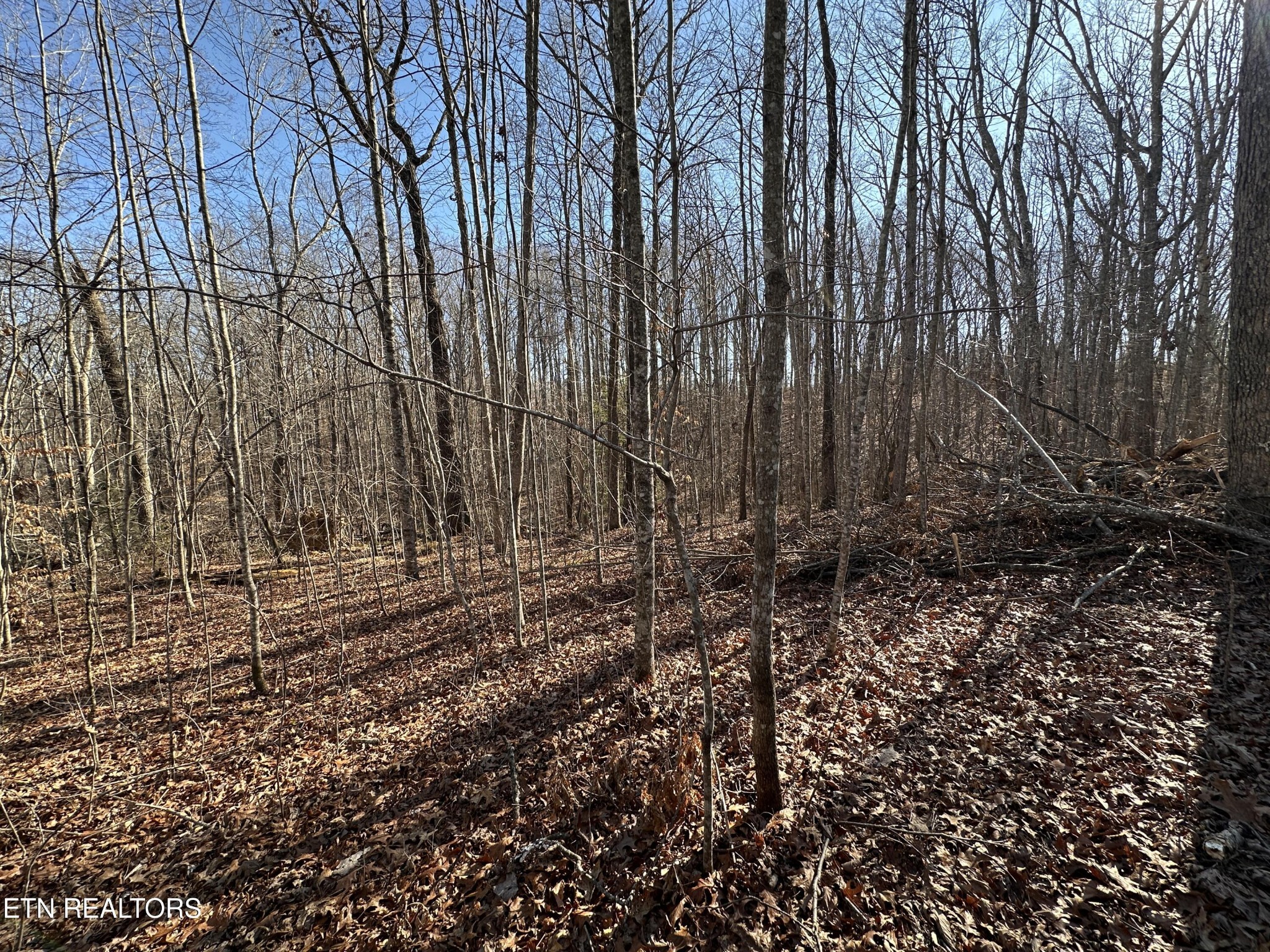 1453 Pickett Park Highway Jamestown TN 38556