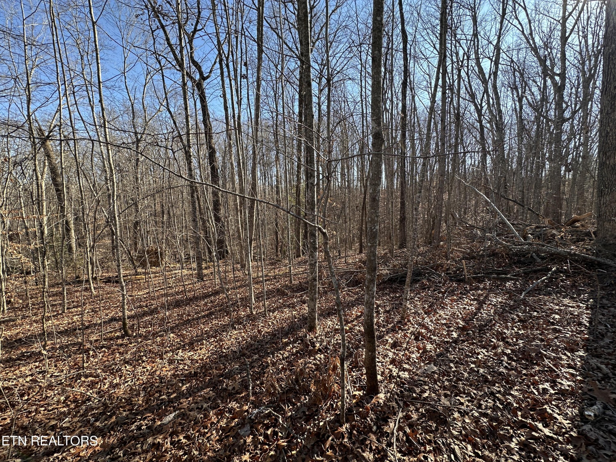 1453 Pickett Park Highway Jamestown TN 38556