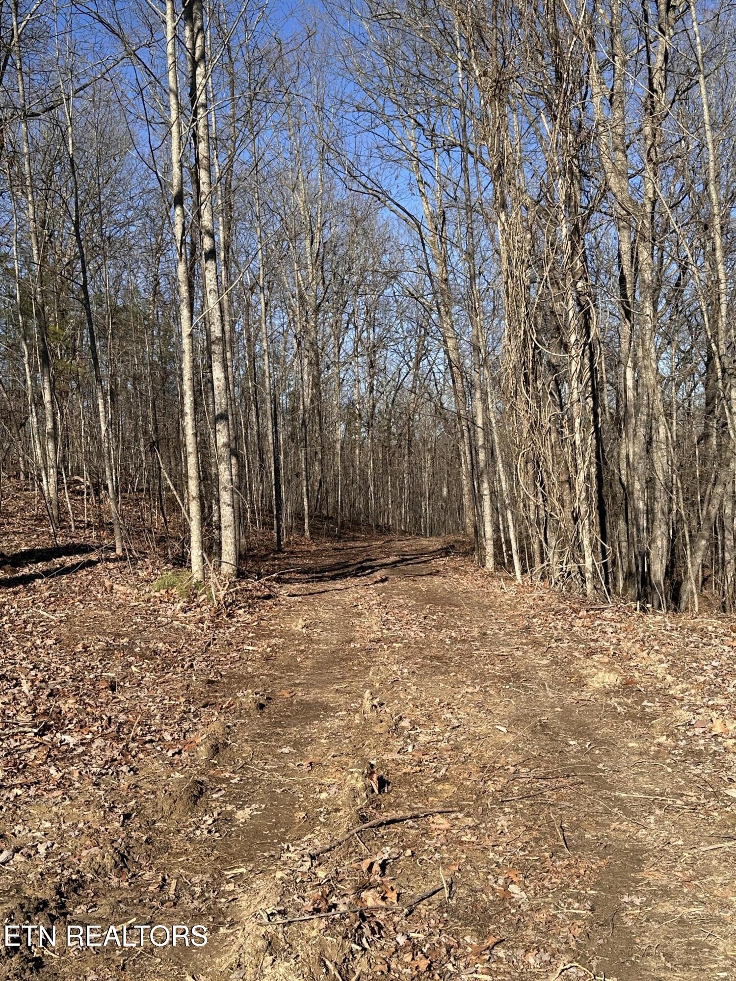 1453 Pickett Park Highway Jamestown TN 38556