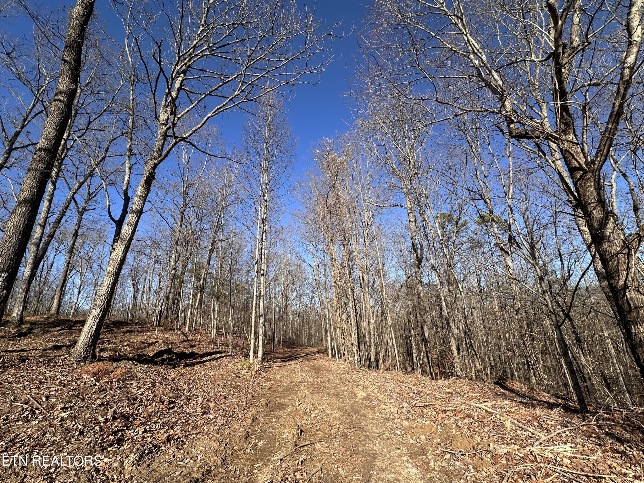 1453 Pickett Park Highway Jamestown TN 38556