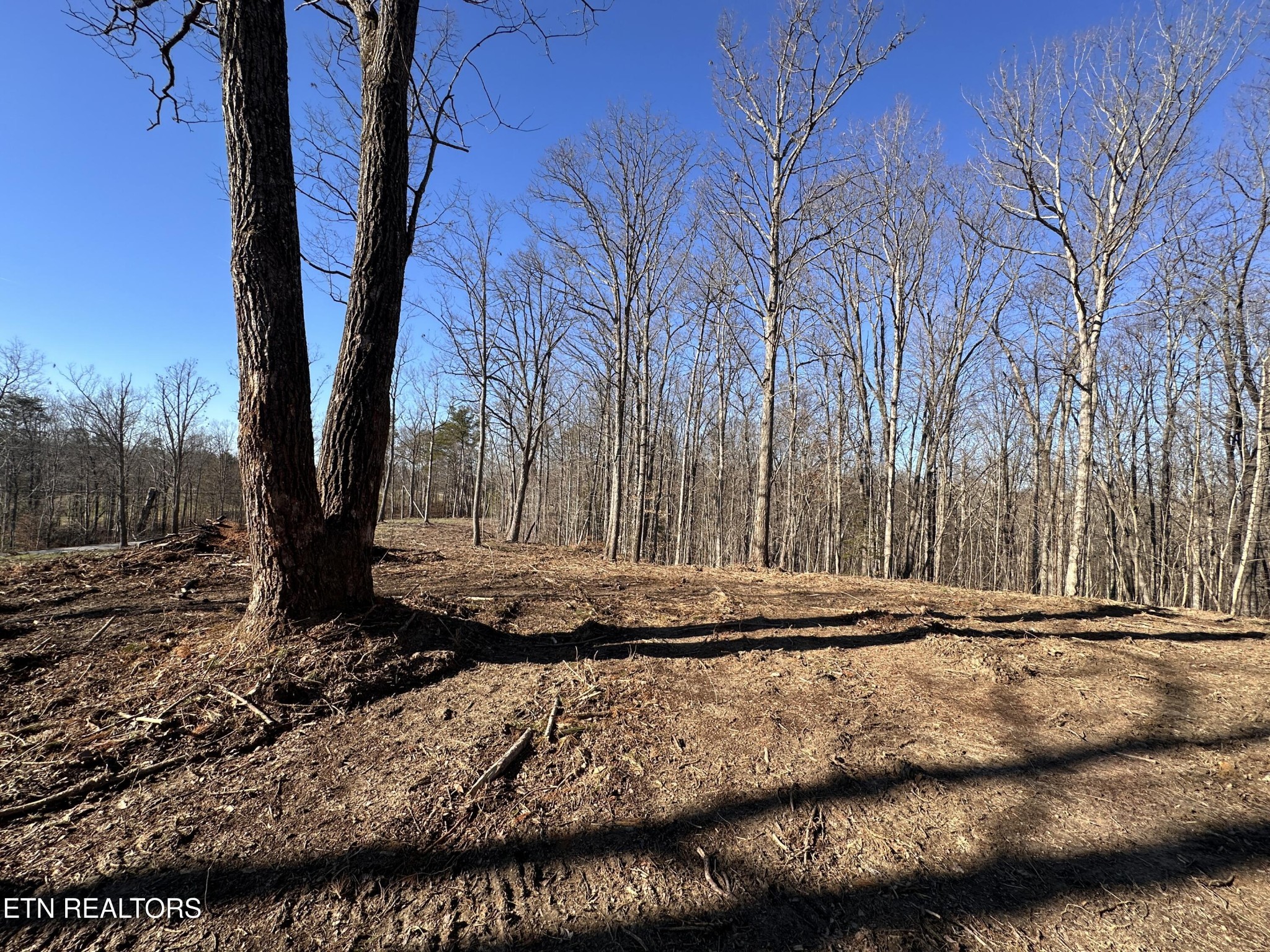 1453 Pickett Park Highway Jamestown TN 38556