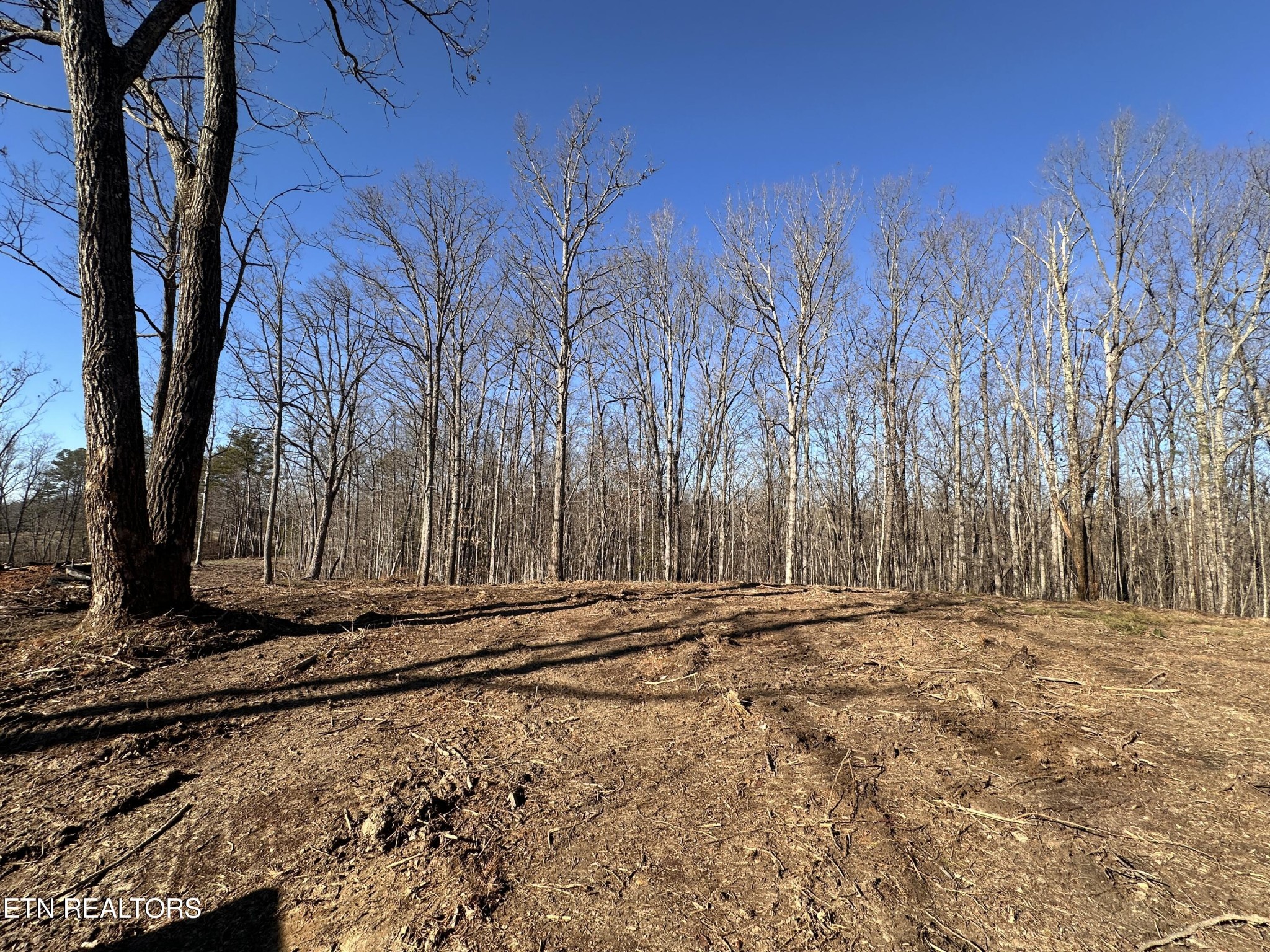 1453 Pickett Park Highway Jamestown TN 38556