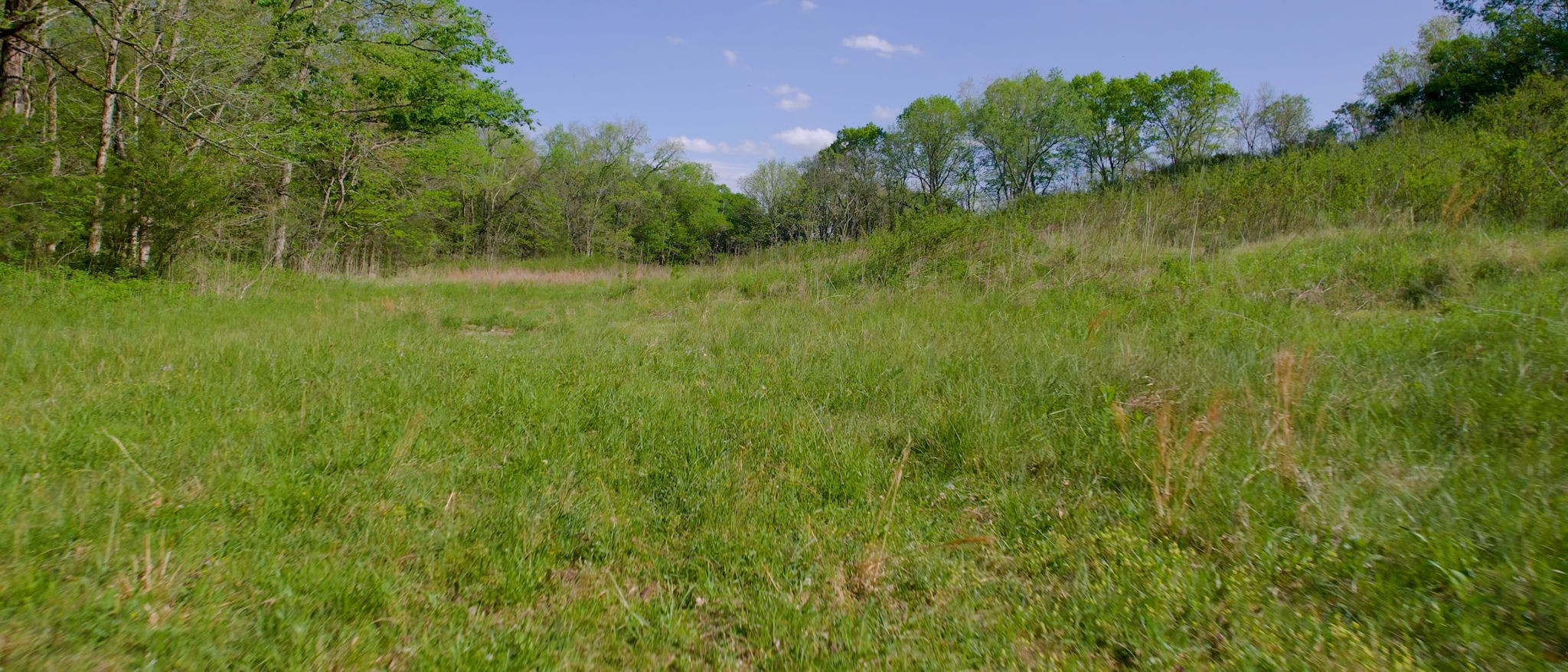 9695 Hartsville Pike Lebanon TN 37087