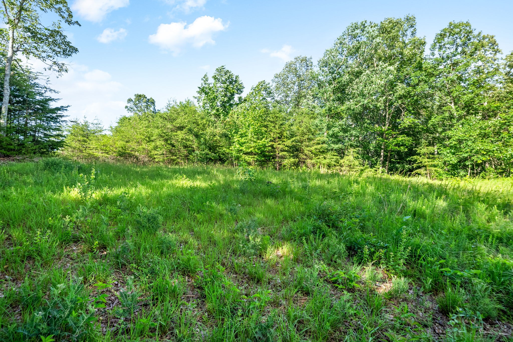 0 Highwater Road Waverly TN 37185