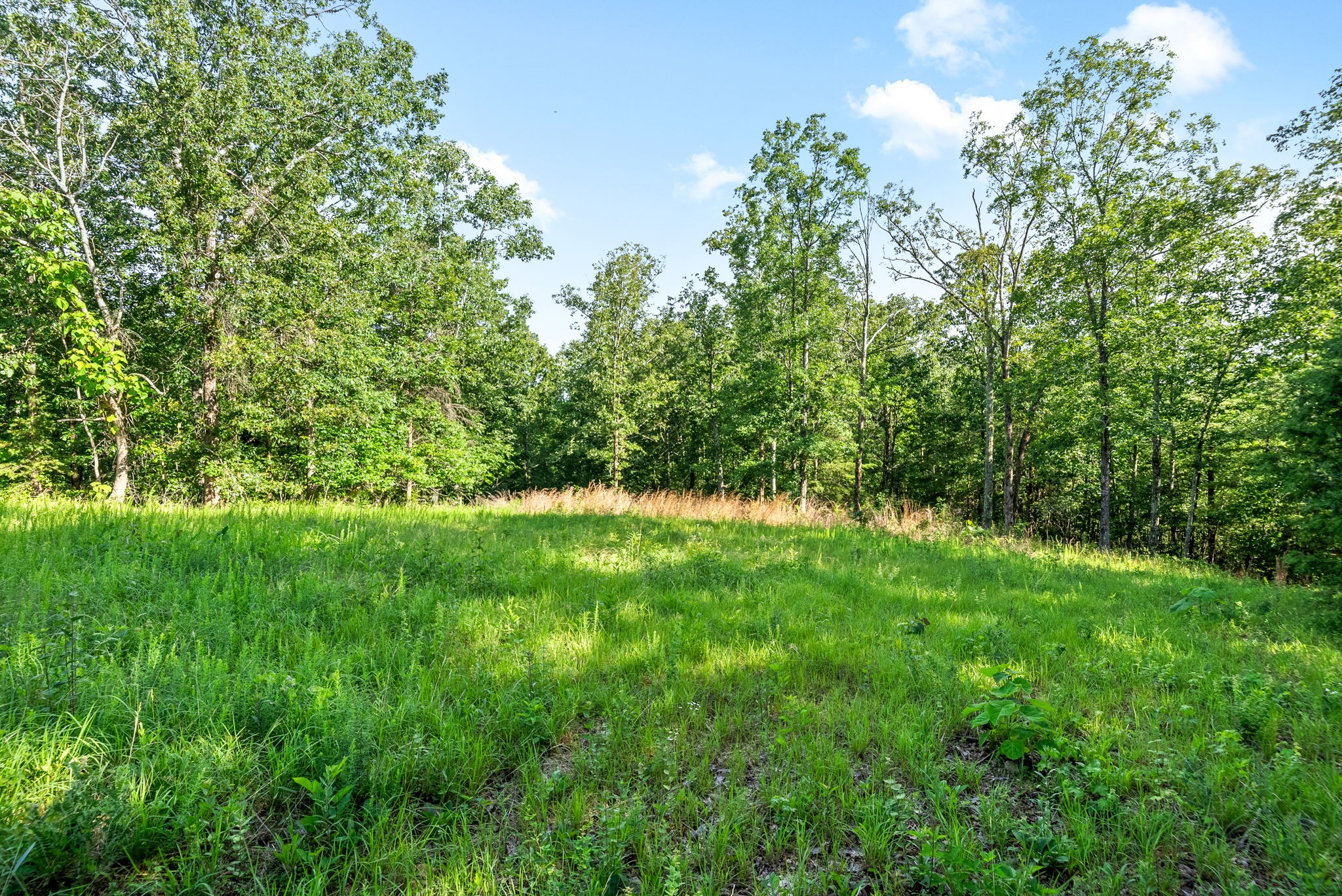 0 Highwater Road Waverly TN 37185