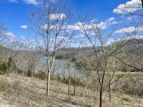 67 Waterwalk Court Smithville TN 37166