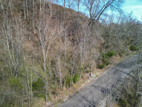 67 Waterwalk Court Smithville TN 37166