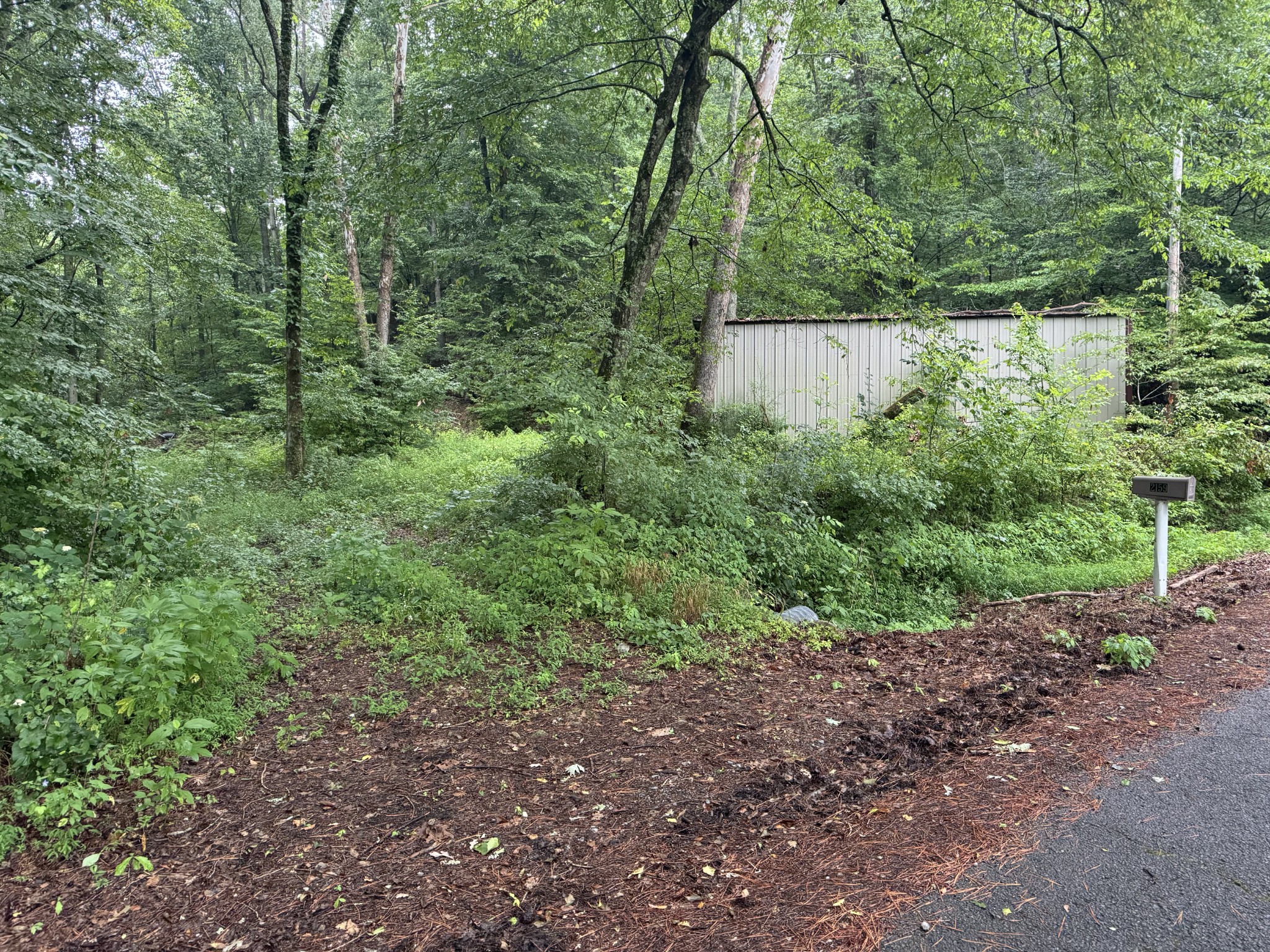 2159 Red Bank Creek Road Lobelville TN 37097