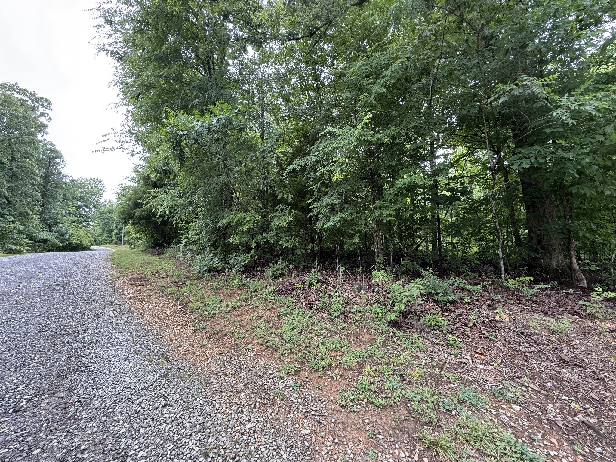 4 Anglin Ridge Road Dover TN 37058