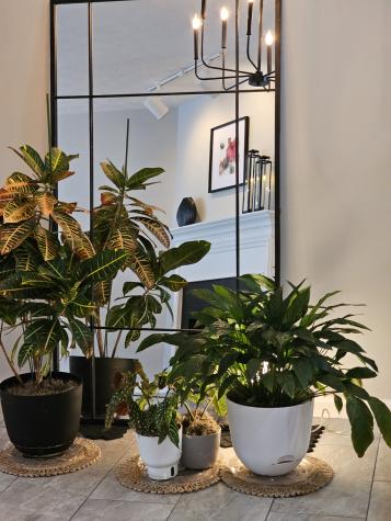 3281 Harpeth Springs Drive Nashville TN 37221