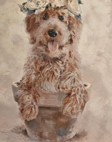 3281 Harpeth Springs Drive Nashville TN 37221