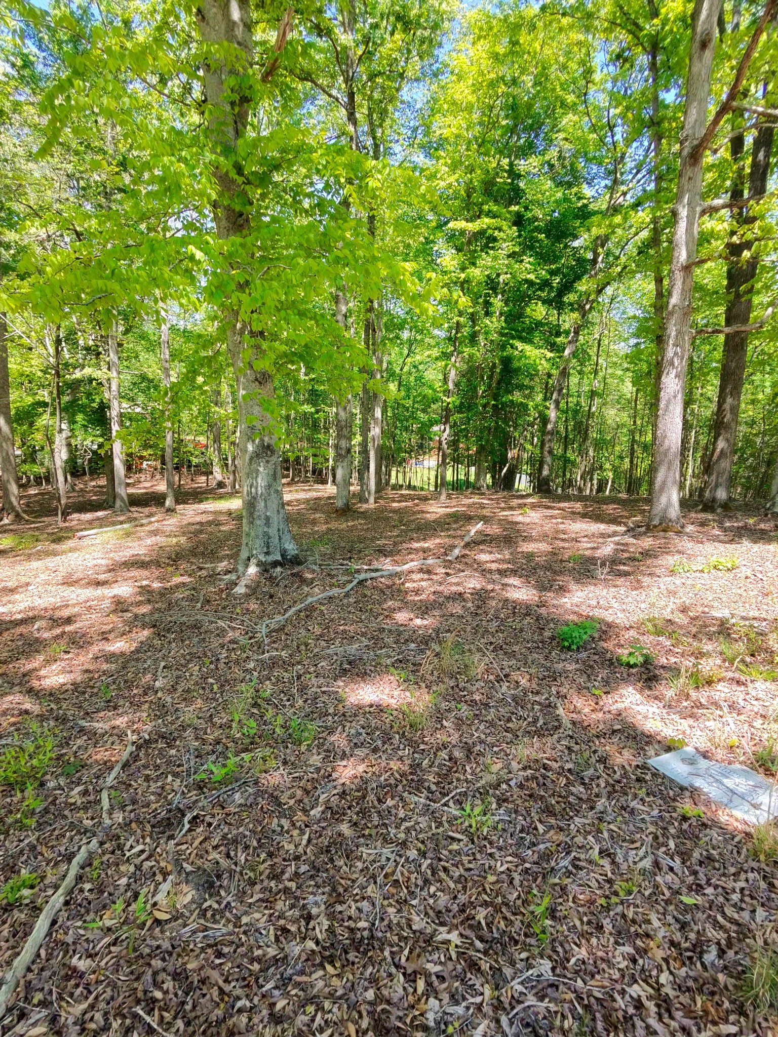 0 Four Seasons Drive Smithville TN 37166