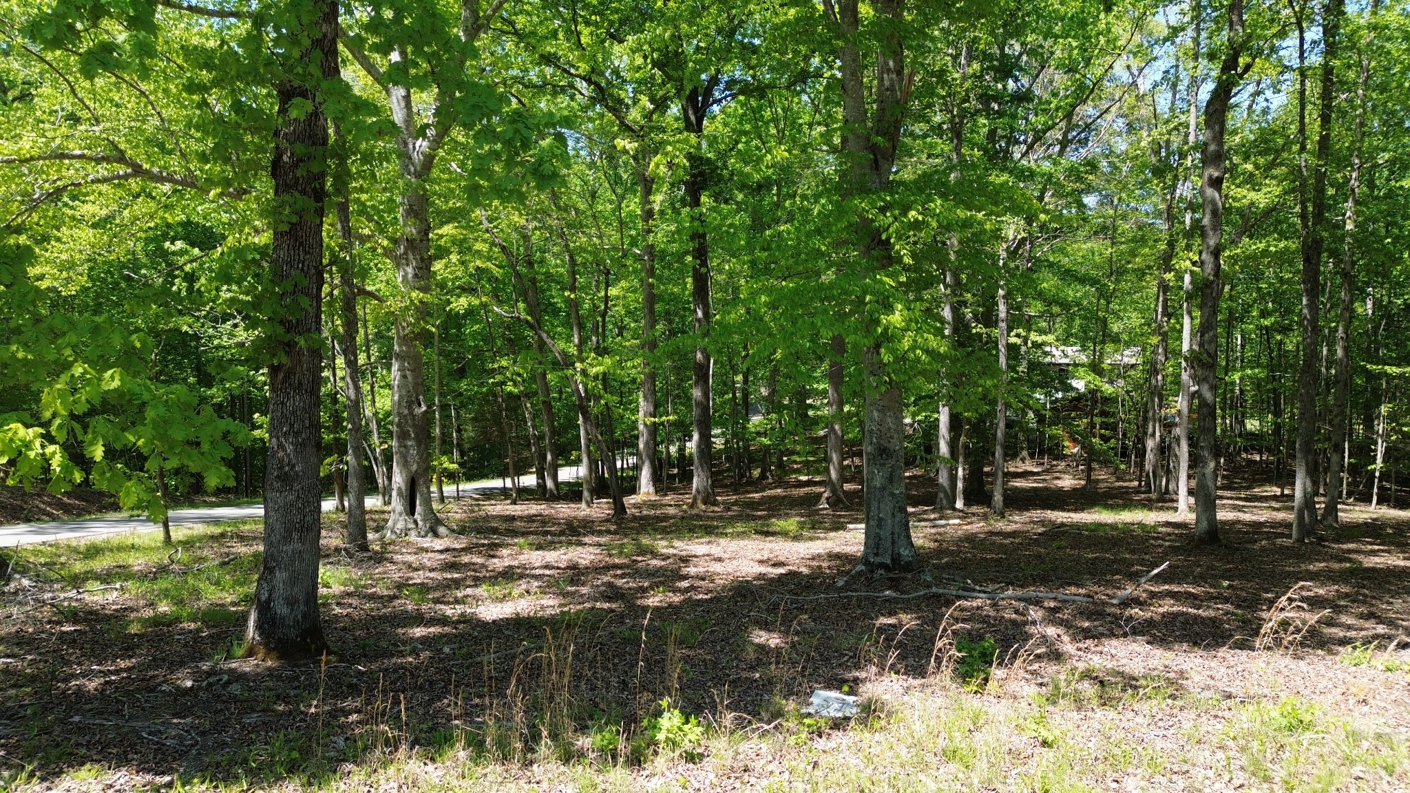 0 Four Seasons Drive Smithville TN 37166