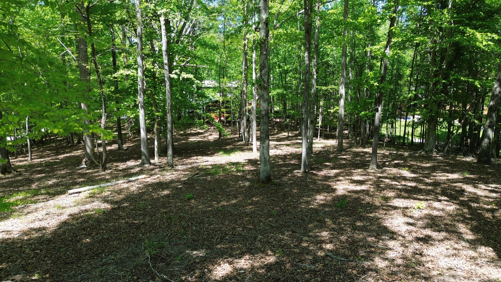 0 Four Seasons Drive Smithville TN 37166