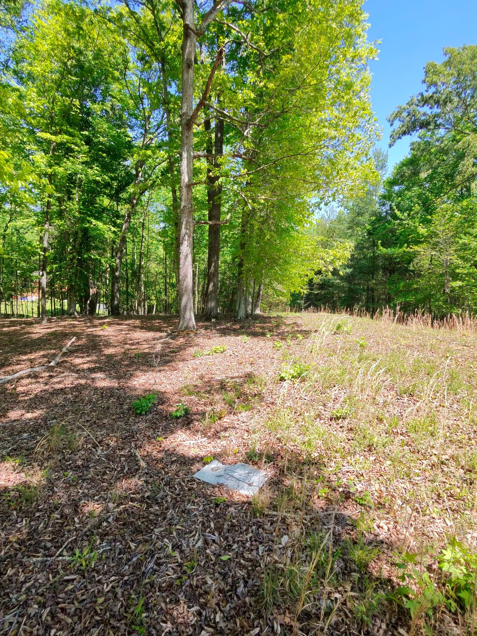 0 Four Seasons Drive Smithville TN 37166