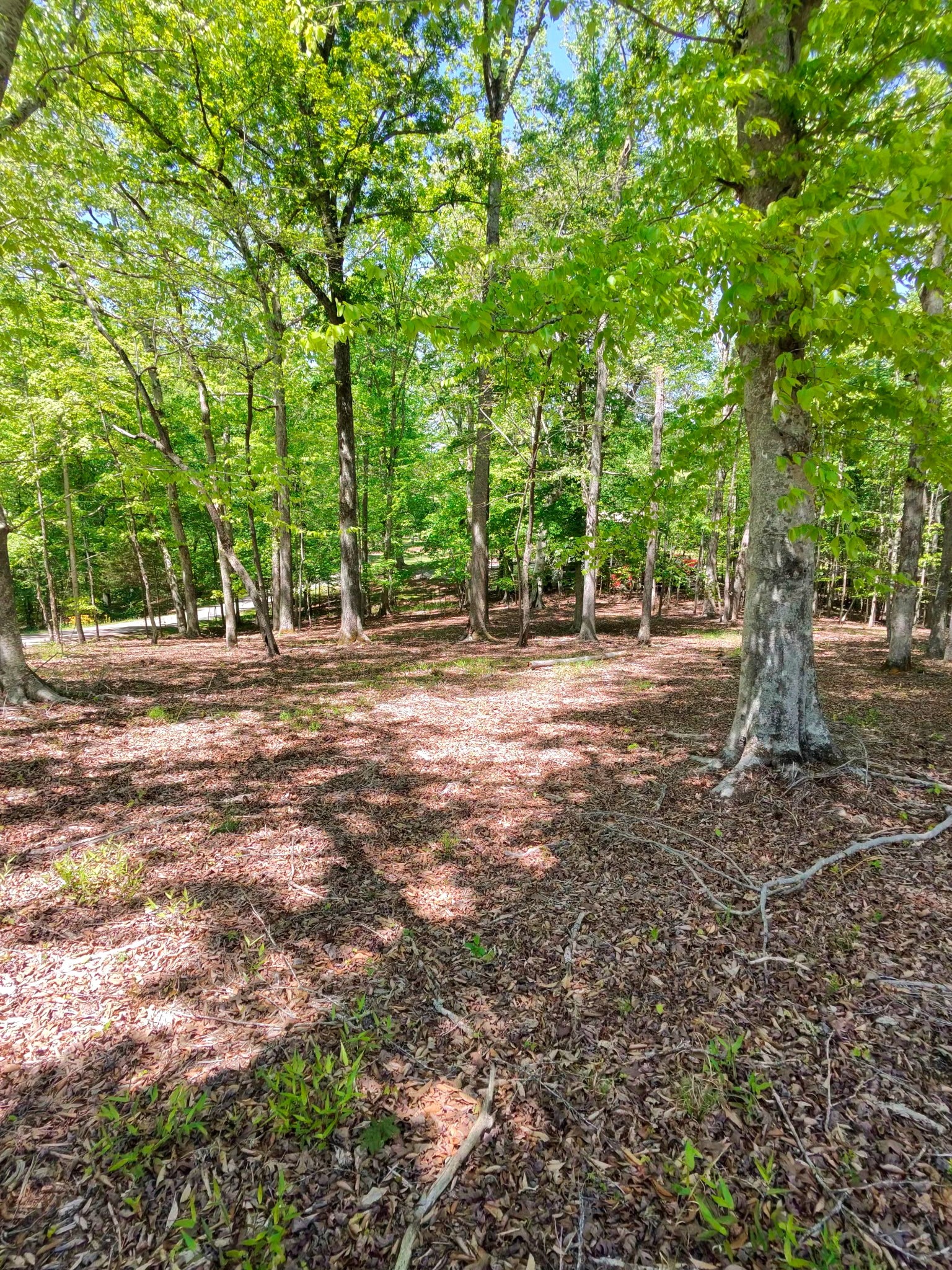0 Four Seasons Drive Smithville TN 37166