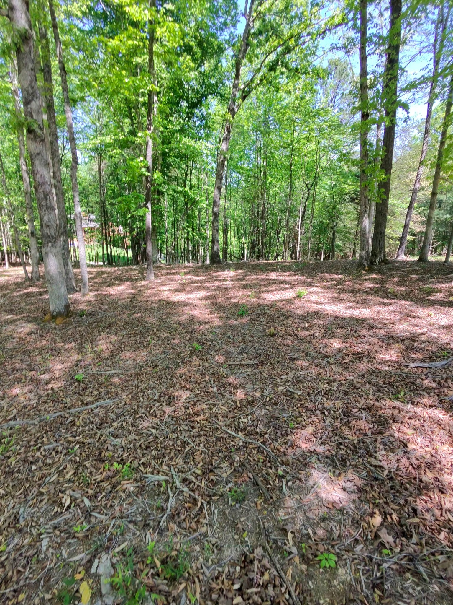 0 Four Seasons Drive Smithville TN 37166