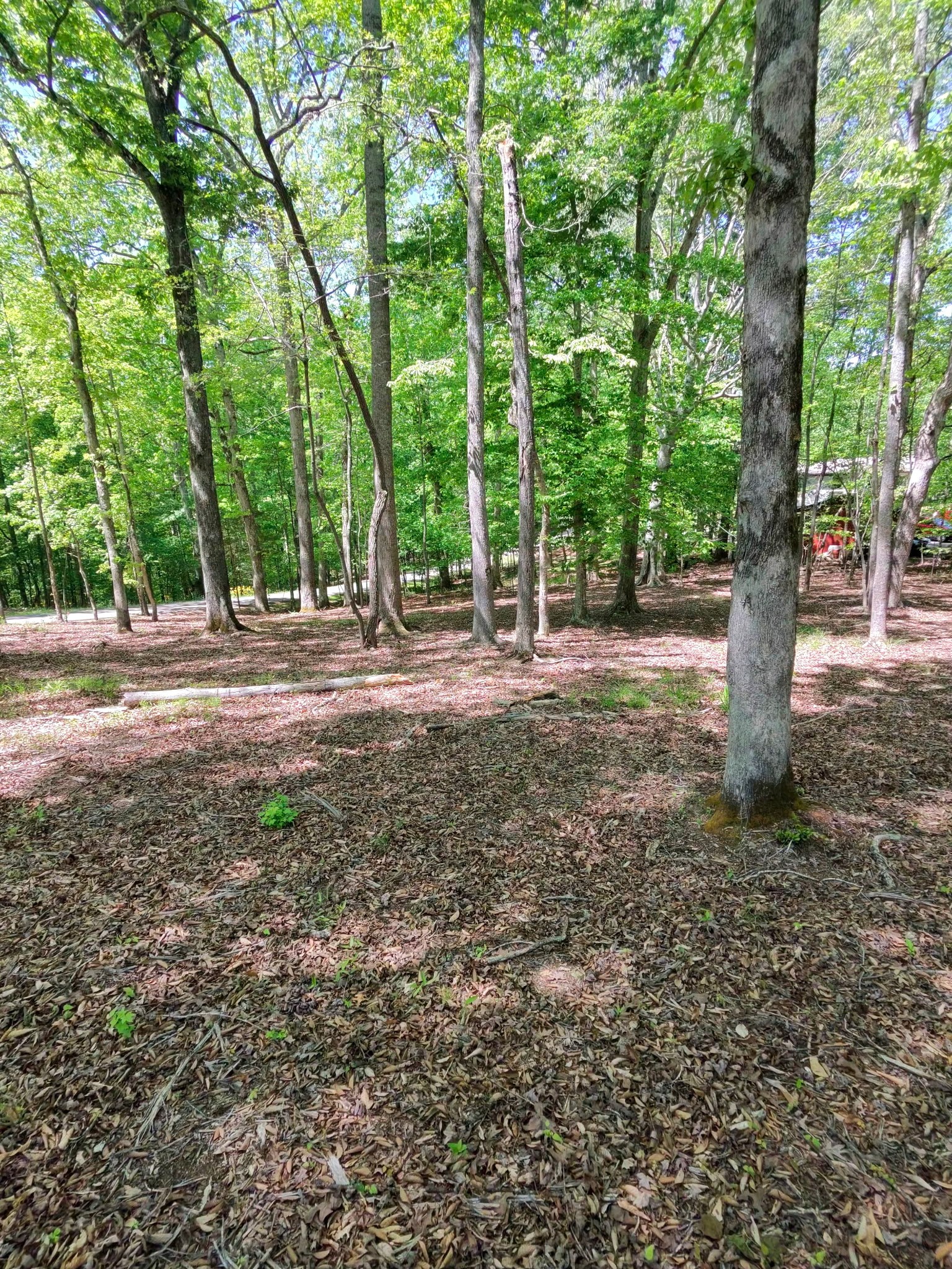 0 Four Seasons Drive Smithville TN 37166
