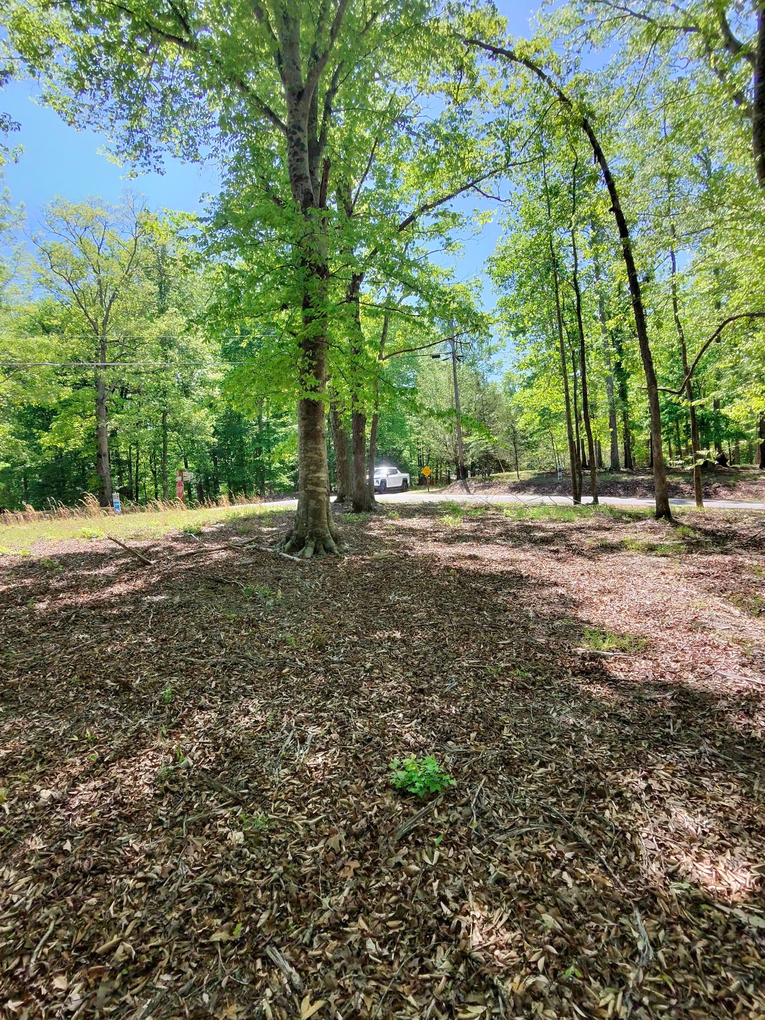 0 Four Seasons Drive Smithville TN 37166
