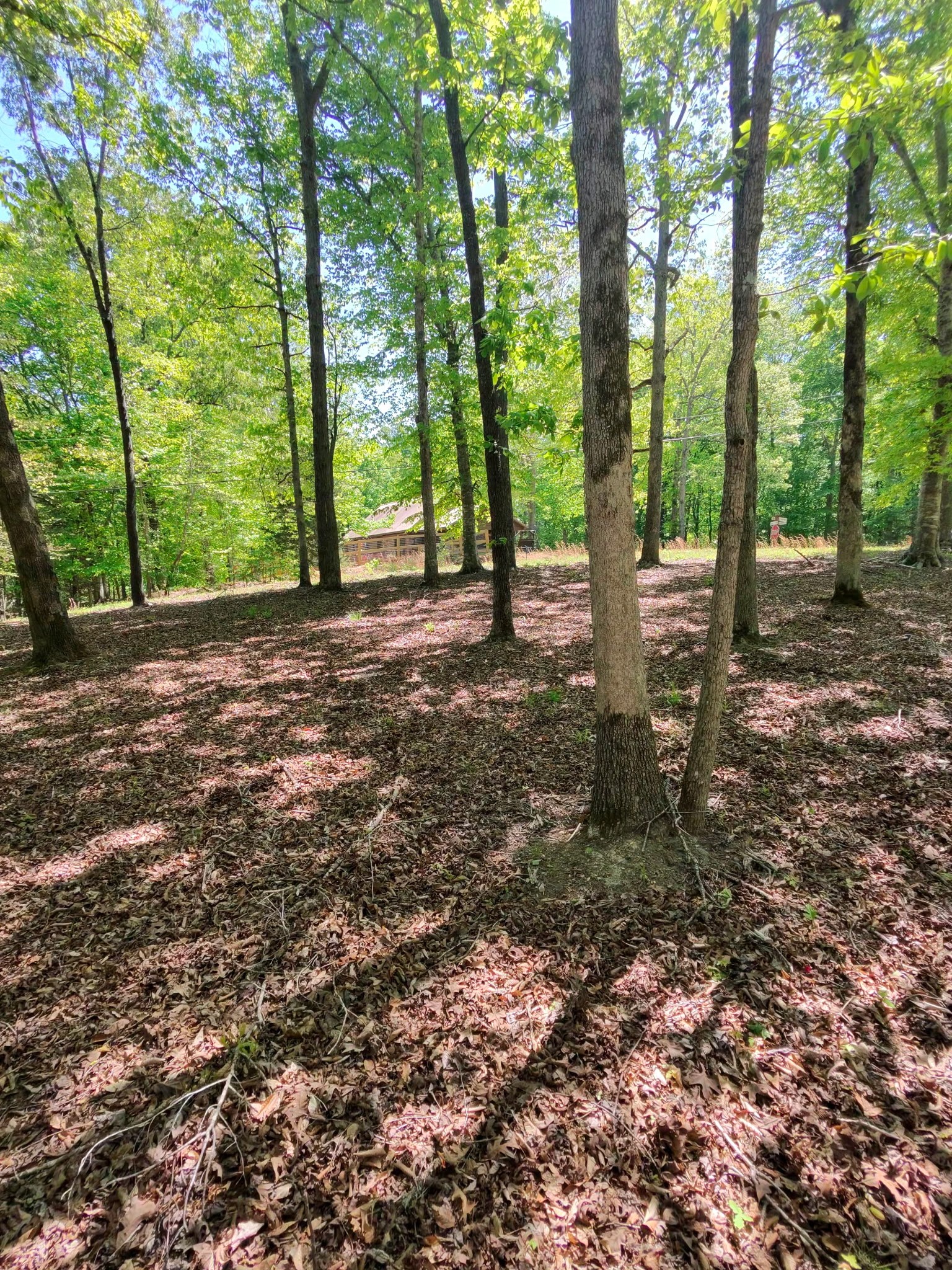 0 Four Seasons Drive Smithville TN 37166