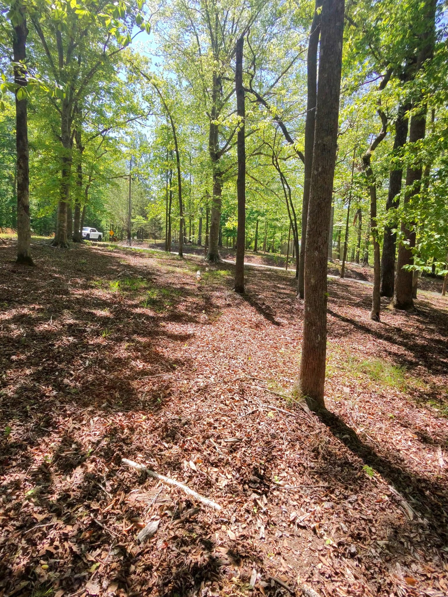 0 Four Seasons Drive Smithville TN 37166