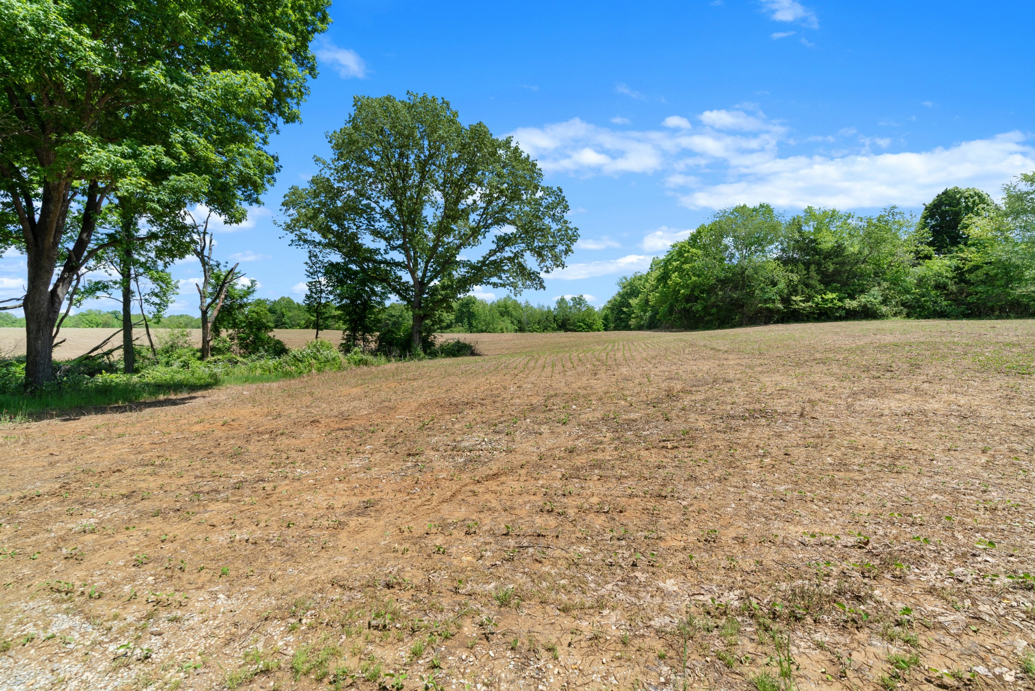 1 Tom Austin Highway Springfield TN 37172