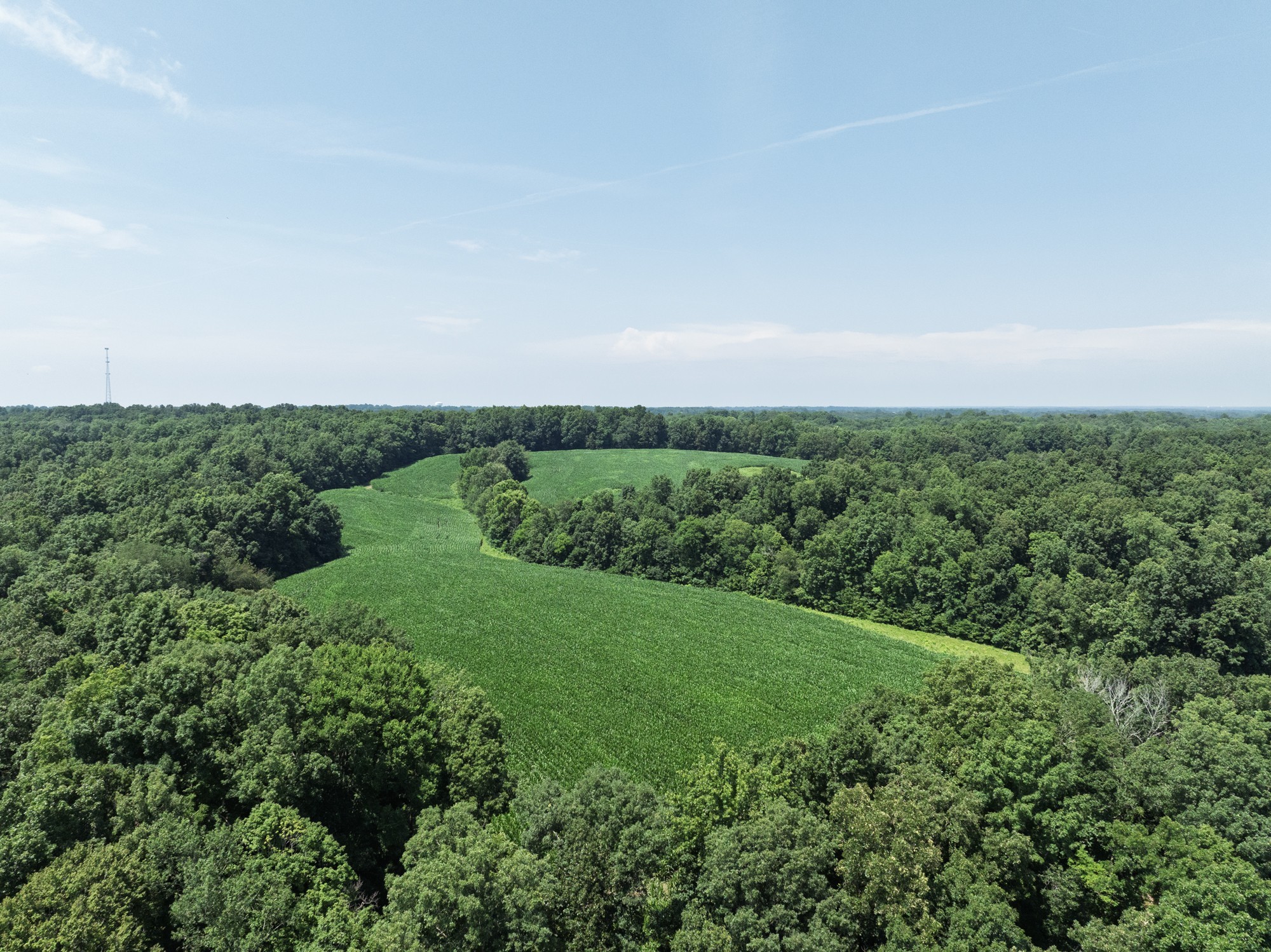 4801 Highway 48 Cumberland Furnace TN 37051