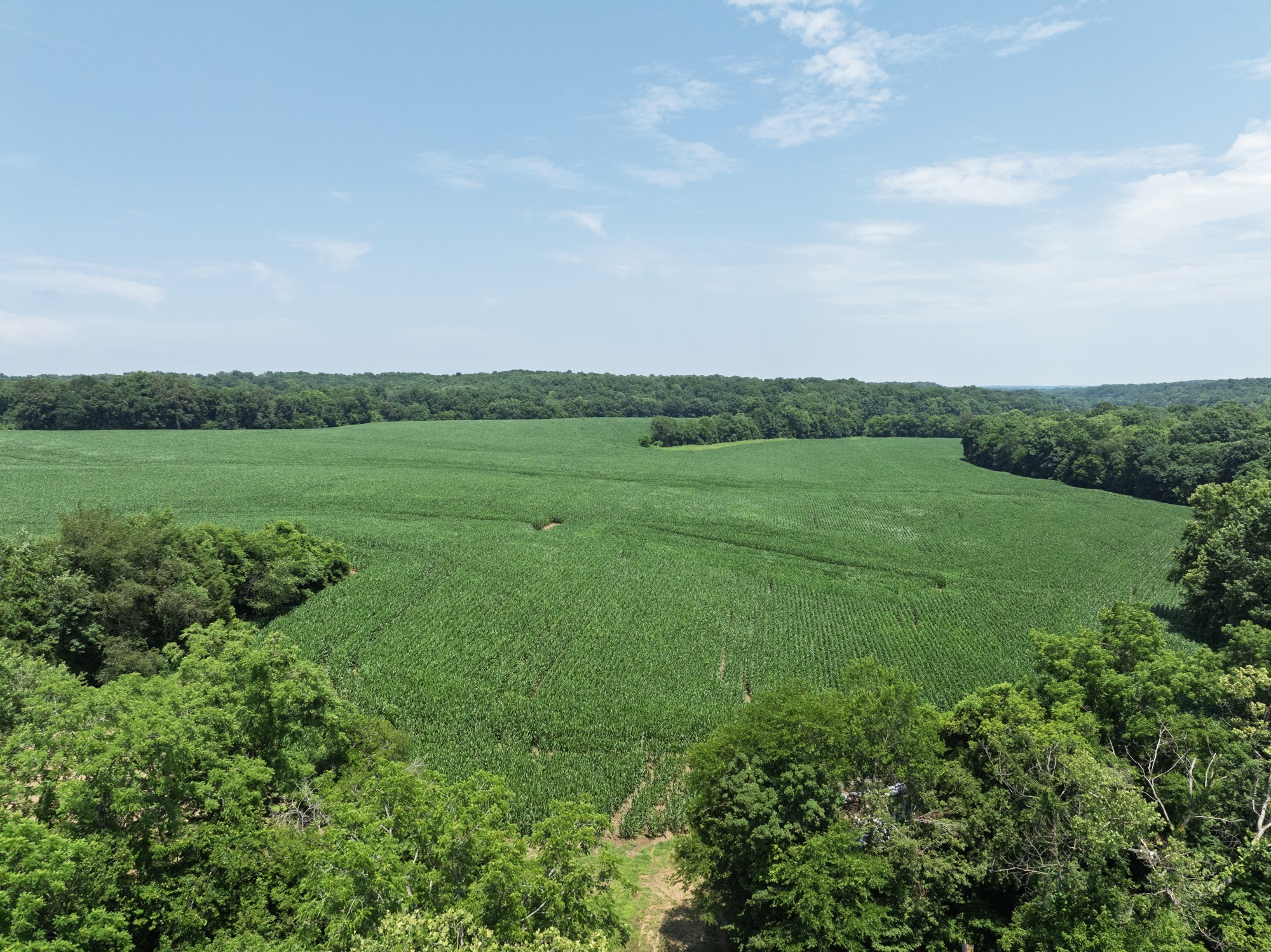 4801 Highway 48 Cumberland Furnace TN 37051