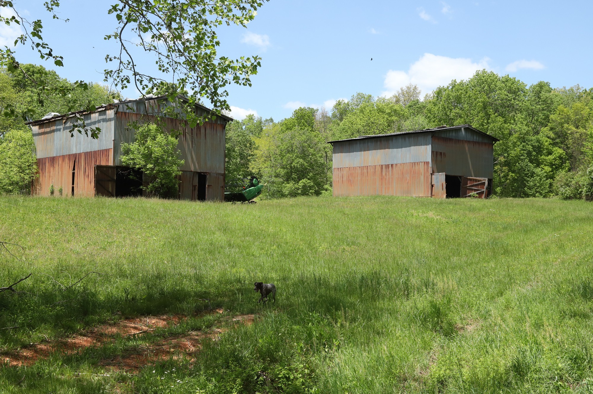 4801 Highway 48 Cumberland Furnace TN 37051