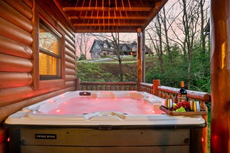 318 Alpine Mountain Way Sevierville TN 37863