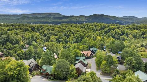 318 Alpine Mountain Way Sevierville TN 37863