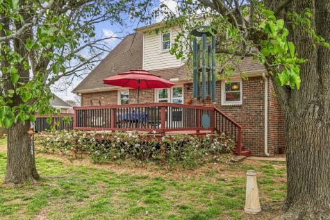 230 Richmond Drive Smyrna TN 37167