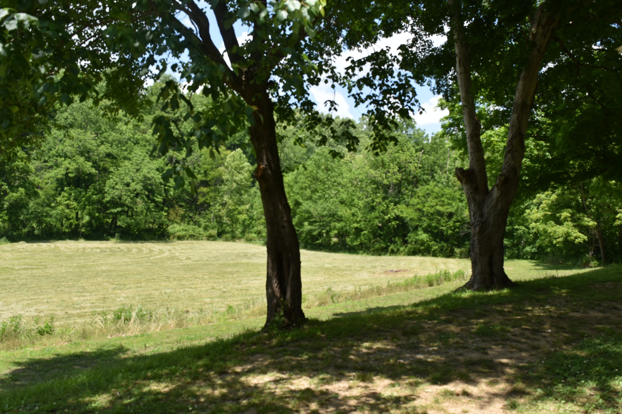 1331 Turkey Creek Loop Tullahoma TN 37388