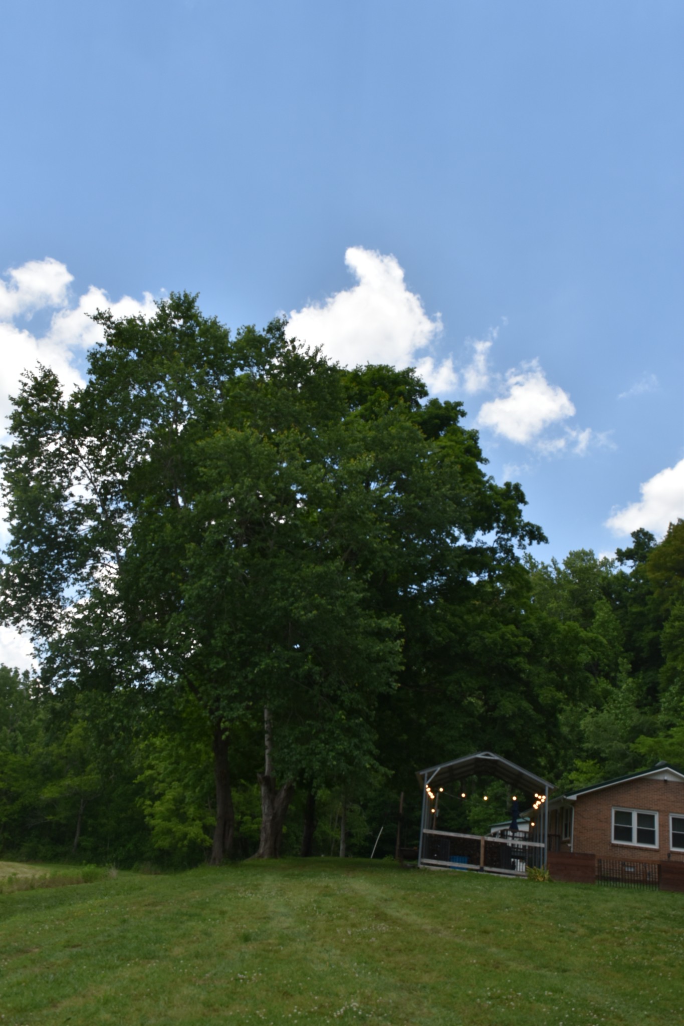 1331 Turkey Creek Loop Tullahoma TN 37388